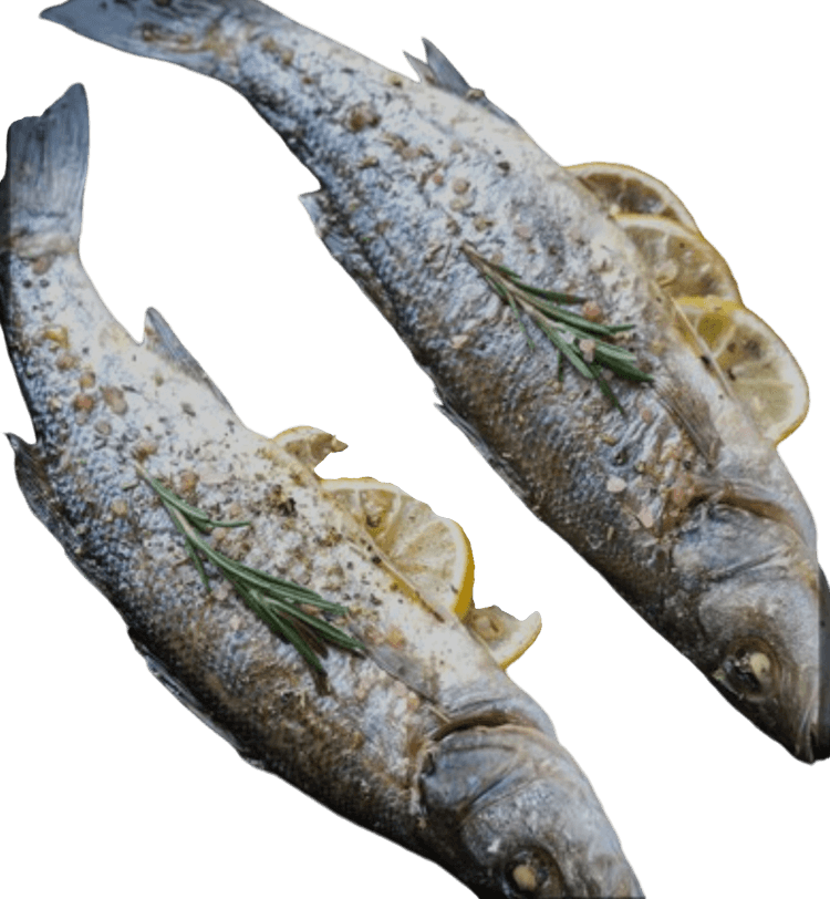 Grilled Sea Bass Recipe